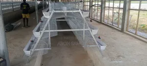Battery Cage for Layers