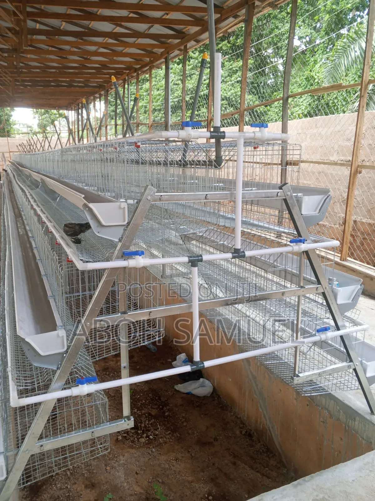 Battery Cage for Layers