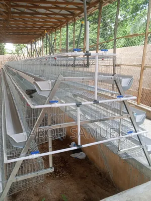 Battery Cage for Layers