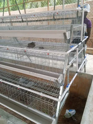 Battery Cage for Layers
