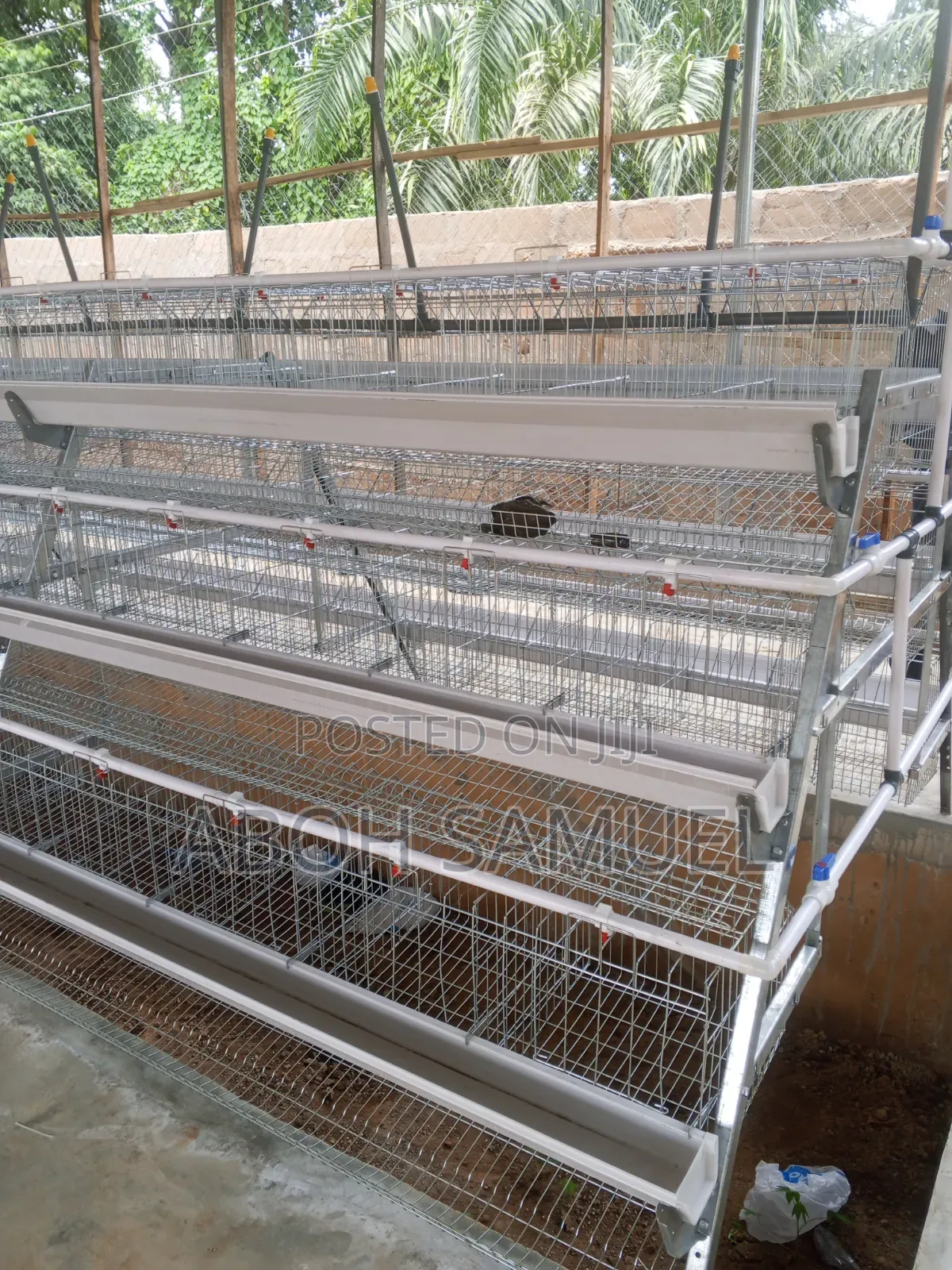 Battery Cage for Layers