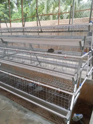 Battery Cage for Layers