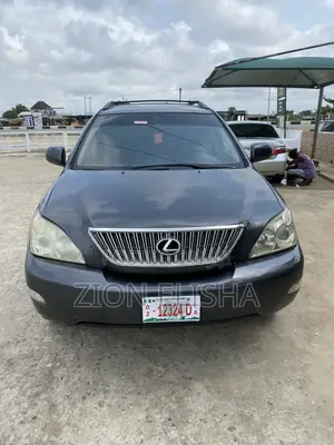 Lexus RX 330 2006 Gray
