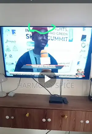 Hisense TV With Little Line on Top
