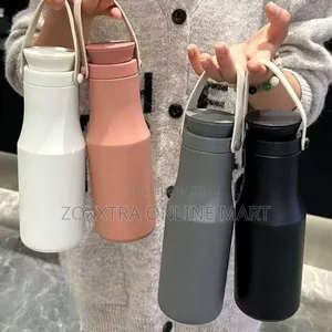 700ml Portable Insulated Water Bottle With Carry Handle