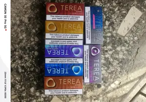 Iqos Terea