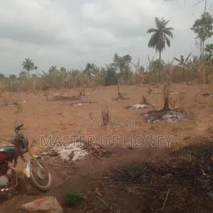 3 Acres of Land for Sale