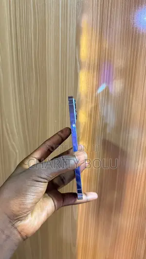 Apple iPhone 13 Pro Max 256 GB Blue