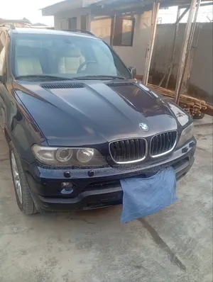 BMW X5 3.0i 2006 Blue