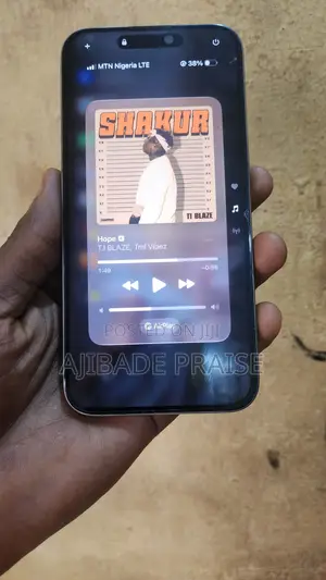 Apple iPhone 15 Pro Max 256 GB