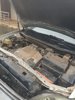Lexus RX 2002 Gray