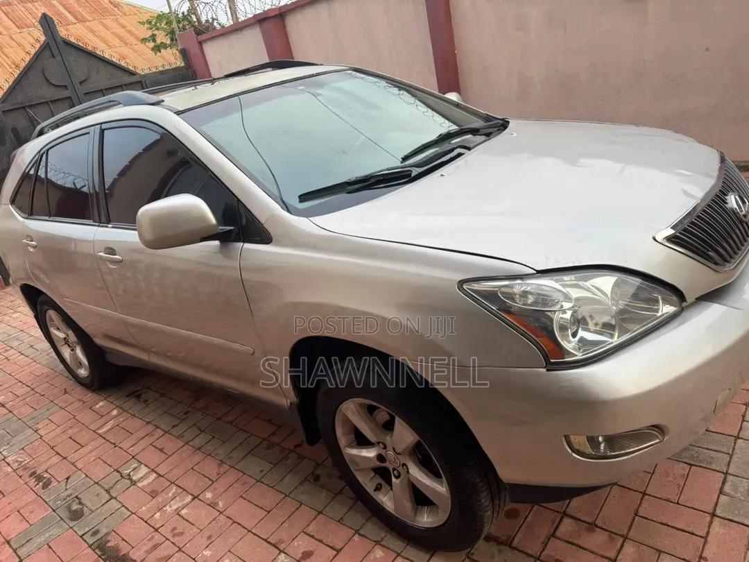 Lexus RX 2007 Gray