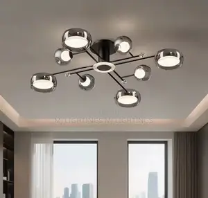 Ceiling Light Lamparas Indoor Lighting