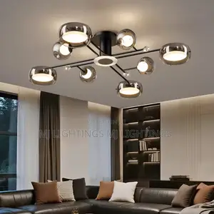 Ceiling Light Lamparas Indoor Lighting