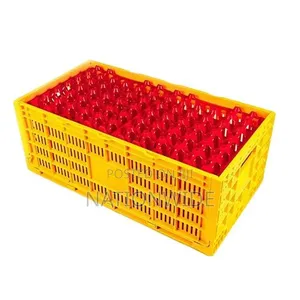 Chicken Egg Transfer Box (ARI Brand | 240 Eggs Capacity)