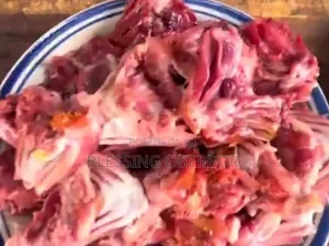 Dogs and Cat Foods