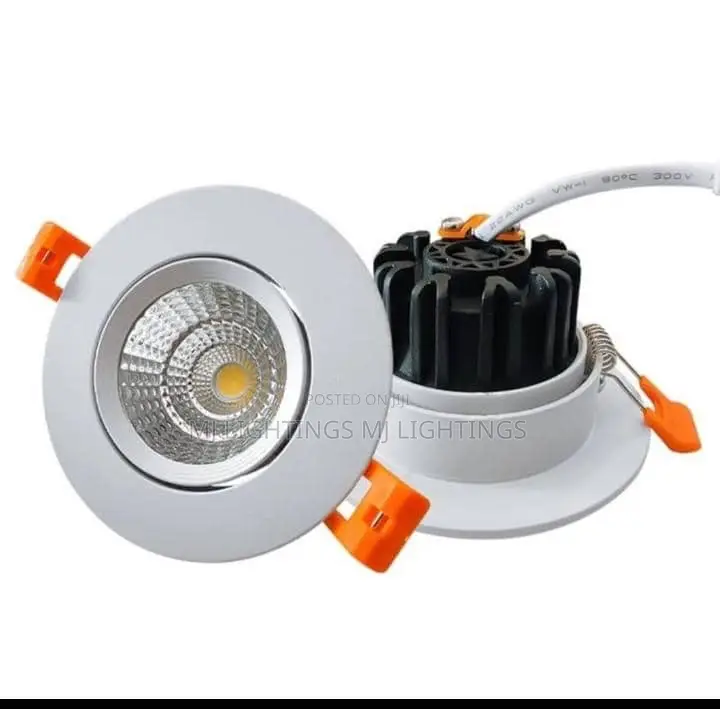 Ceiling Spotlight Embedded Light