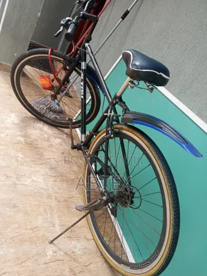 Sports Bicycle