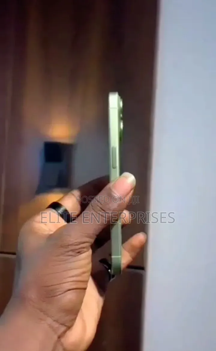 Apple iPhone 17 256 GB Green