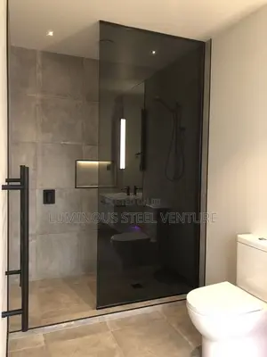 Get Your Pivot Shower  Premium Standard Version Built With Black Glas