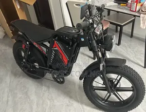 20" Retro Urban Fat Tire 48V 1000W Offroad/Dirt Ebike Electric Bicycle