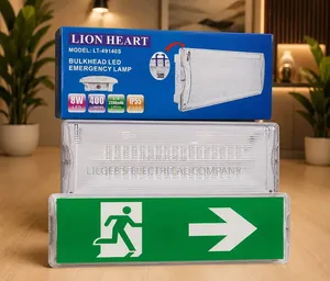 Premium Quality Emergency Light Fitting