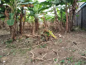 Investment /Development Land Standard Full Plot at Magboro