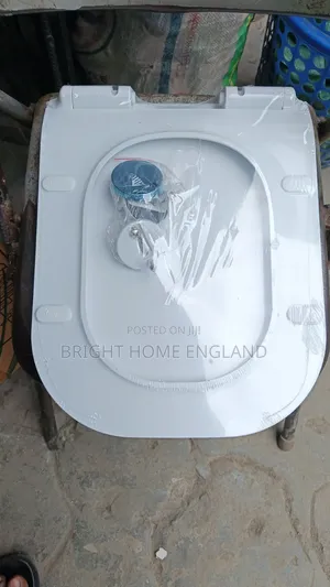 Acrylic Toilets Seats Cover