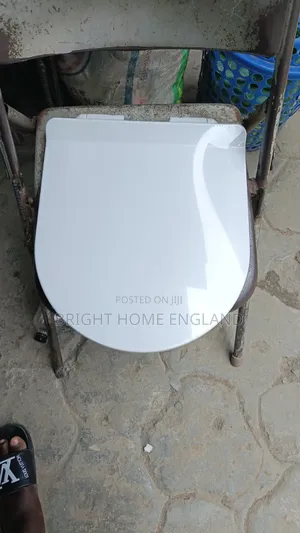 Acrylic Toilets Seats Cover