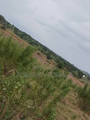 10 Acres Fertile Famland for Sale at the Back of NIKKO Iseyin-Oyo Road