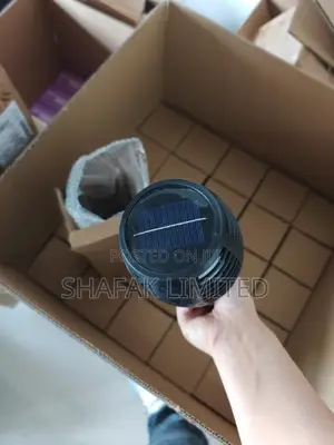 Solar Garden Light