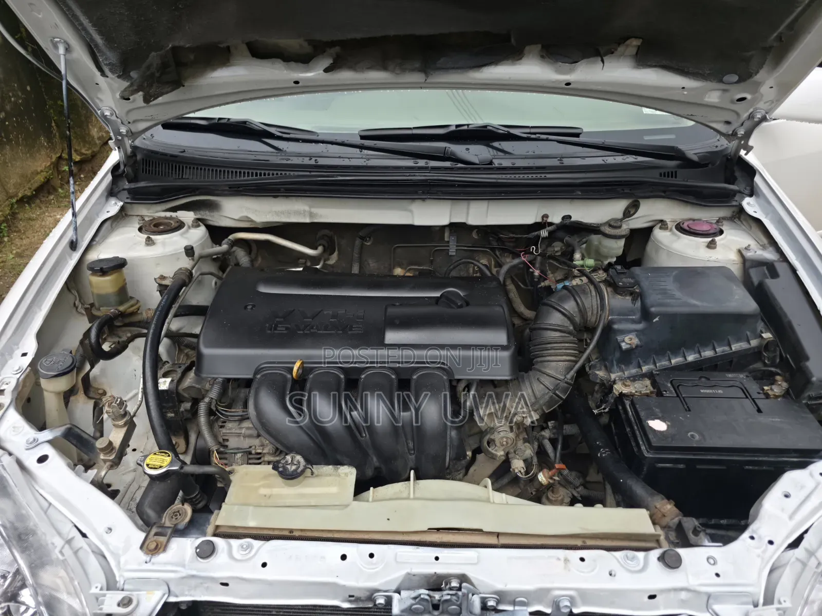 Toyota Corolla 2003 White