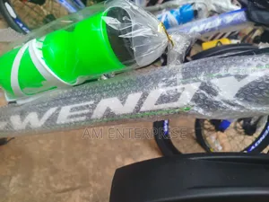 Wendy Mountain Bicycle