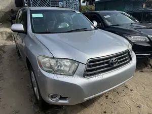 Acura MDX 2009 Silver