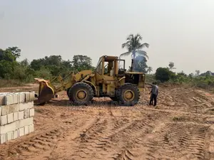 Payloader 966c