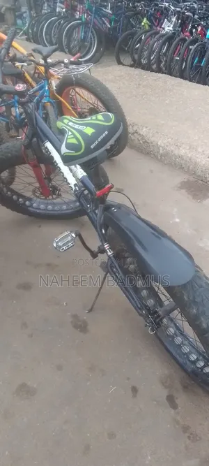 Mongoose Malus Dolomite Fat Bike Beast of All Terrains.