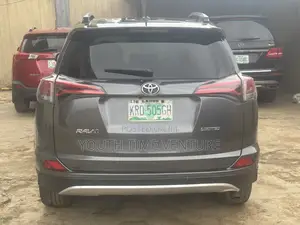 Toyota RAV4 XLE 4dr SUV (2.5L 4cyl 6A) 2014 Gray