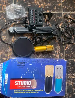 Studio Mic