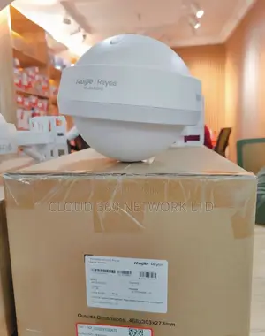 Ruijie Reyee RG-RAP6262 Wi-Fi 6 AX3000 Outdoor Access Point