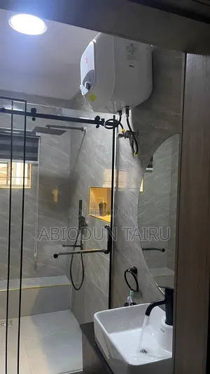 Professional Plumbing Services