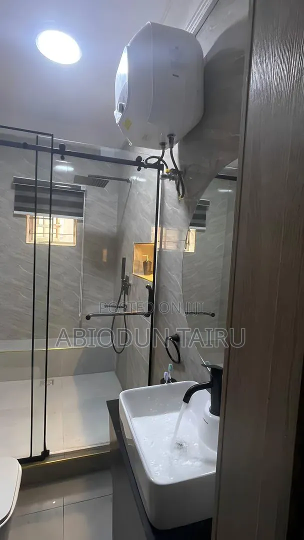 Professional Plumbing Services