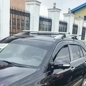 Crossing Roof Carrier