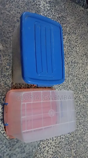 Generic Plastic Storage Box