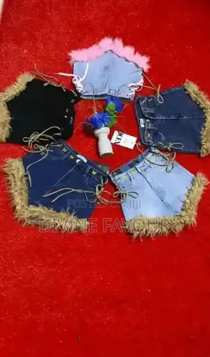 Fashion Designer