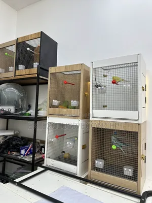 Parrot Wooden Cage
