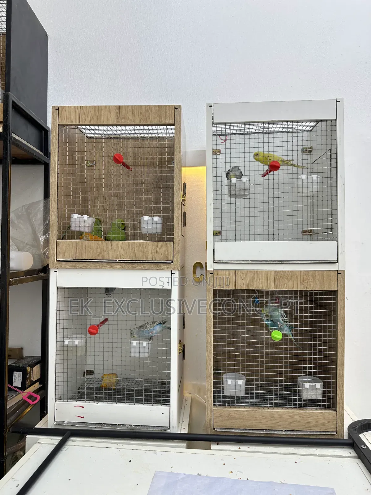 Parrot Wooden Cage