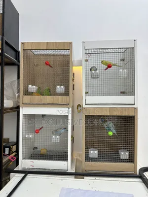 Parrot Wooden Cage