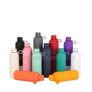 500ml Insulated Stainless Steel Bottle