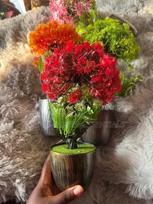 Big Size Flower