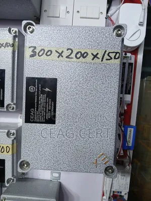 300 X 200x 150 Explosion Proof Box